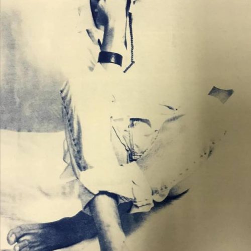 Cooperativa Il Ponte, MODELLO, 2018