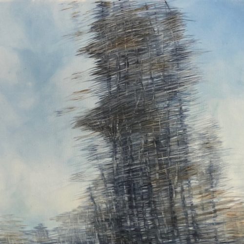 Mino Raoul Colombo, VENTO N.2, 2018, 50x60 cm