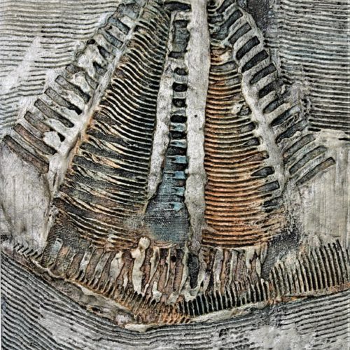 Valter Gatti, MEMORIA DI UN PESCE 2, 2005, 40x30 cm