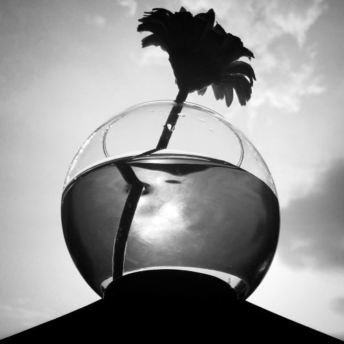 Alessandra Roversi, L’UOMO DAL FIORE IN TESTA, 2020, 42x52 cm, stampa fotografica fine art