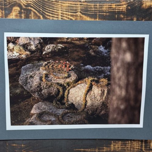 Fabio Racheli, TRA DUE MASSI, 2023-2024, 45x60 cm, fotografie su base di assi di abete rosso trattate col fuoco