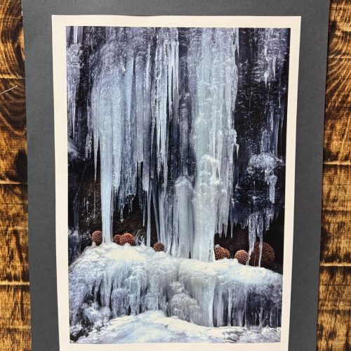 Fabio Racheli, NOCCIOLE, 2023-2024, 45x60 cm, fotografie su base di assi di abete rosso trattate col fuoco