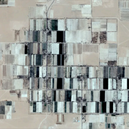 Marco Cadioli, DESERT DRAWING, 2012, 50x75 cm