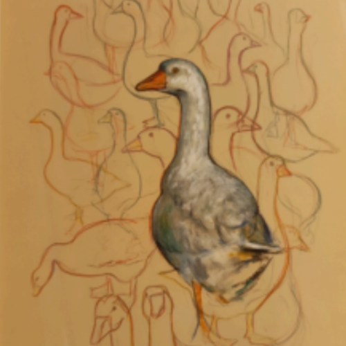 Cinzia Bevilacqua, LE OCHE, 33x50 cm, olio e matite su carta