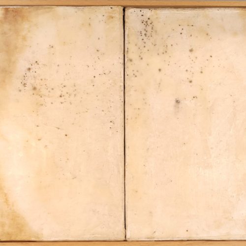Annamaria Gallo, CONDIVISIONE, 2021, 36x24 cm, carta oleata bruciata su tela, gesso e cere