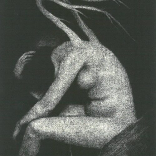 Alessandro Dolfi, METAMORFOSI DI UNA NAIADE, incisione calcografica: maniera nera (TGart-99)