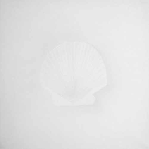 Kanaco Takahashi, UN SILENZIO CHE DÀ VOCE_05, 2017, 63x63 cm, matita su carta