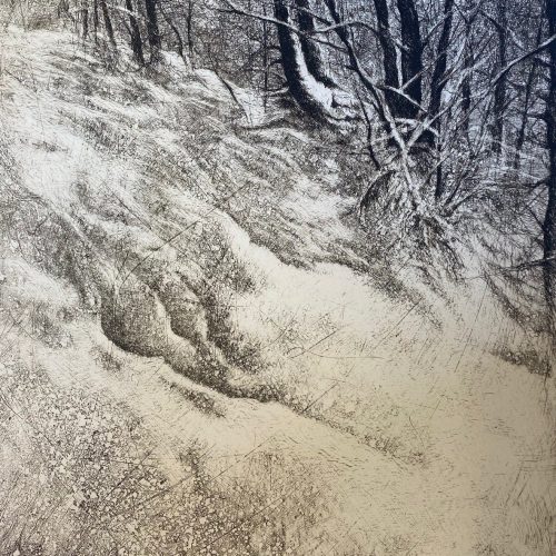 Luca Pojer, MATTINATA D'INVERNO, incisione calcografica: puntasecca su acqua di zinco (TGart-100)