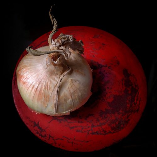 Alessandra Roversi, CIPOLLA GIARRETANA, 2021, 32X32 cm, stampa fine art (TGart-110)