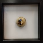 PGR (n.2 - serie ex-voto)